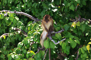 Similar image 1311027