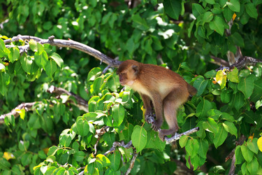 Similar image 1311030