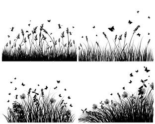 Similar image 1311035