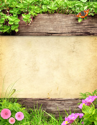 Similar image 1311064