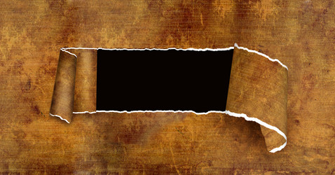 Similar image 1311144