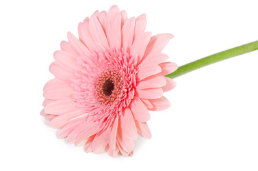 Similar image 1311221