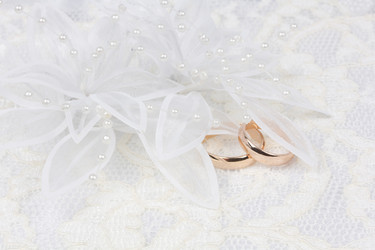 Similar image 1311262