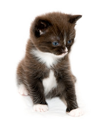 Similar image 1311290