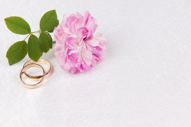 Similar image 1311305