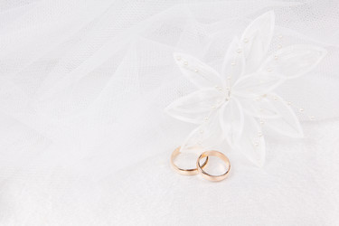 Similar image 1311308