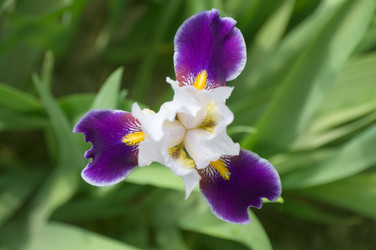 Similar image 1311325