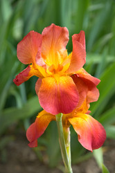 Similar image 1311326