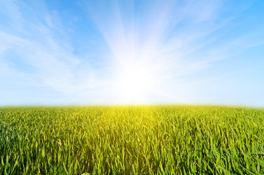 Similar image 1311366