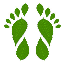 Similar image 1311418