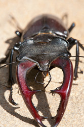 Similar image 1311521