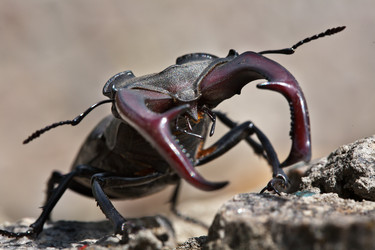 Similar image 1311522