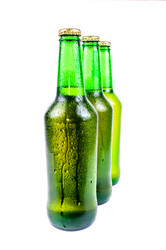 Similar image 1311541