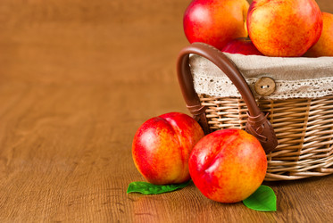 Similar image 1311553