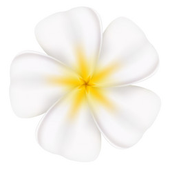 Similar image 1311612