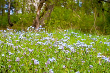 Similar image 1311684