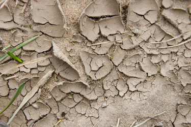 Similar image 1311705