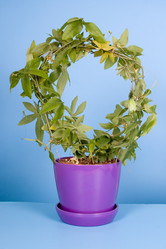 Similar image 1311731