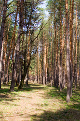 Similar image 1311732