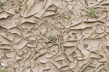 Similar image 1311733