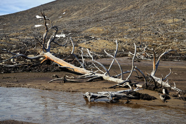 Similar image 1311755