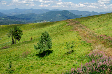 Similar image 1311776