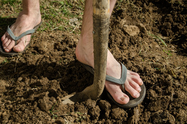 Similar image 1311784