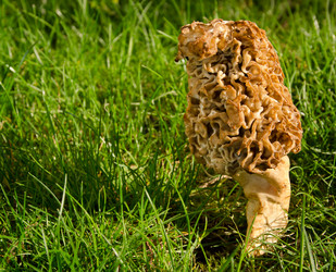 Similar image 1311800