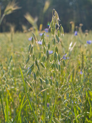 Similar image 1311812