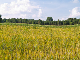 Similar image 1311813