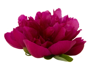 Similar image 1311821