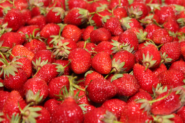 Similar image 1311844