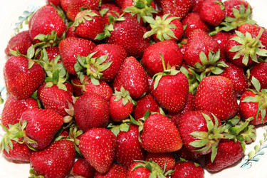 Similar image 1311847