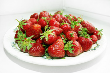 Similar image 1311848