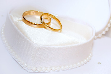 Similar image 1311858