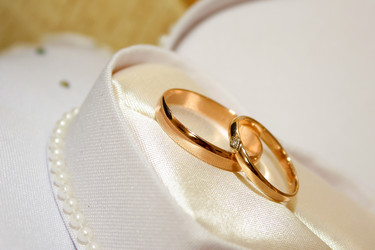 Similar image 1311859