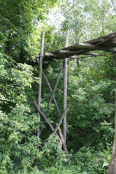 Similar image 1311883