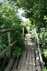 Similar image 1311884