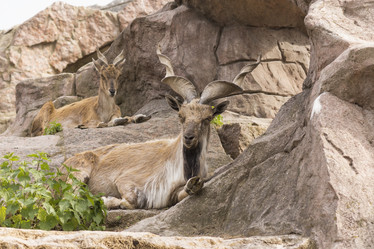 Similar image 1311886