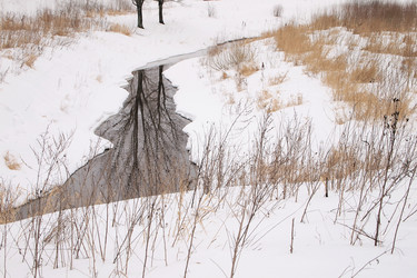 Similar image 1311902