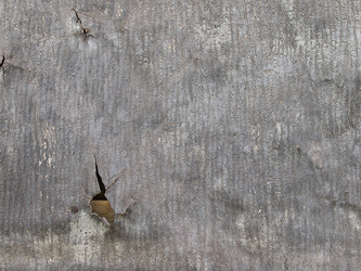 Similar image 1311910