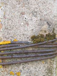 Similar image 1311913