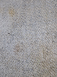 Similar image 1311917