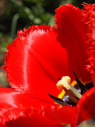 Similar image 1311921