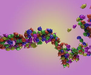 Similar image 1311934