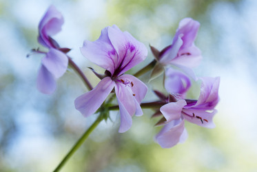 Similar image 1311947