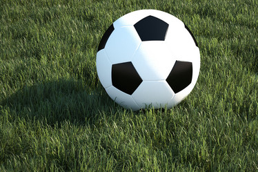 Similar image 1311961