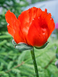 Similar image 1312005