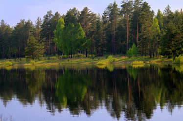 Similar image 1312006