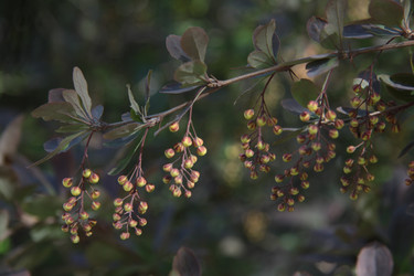 Similar image 1312083